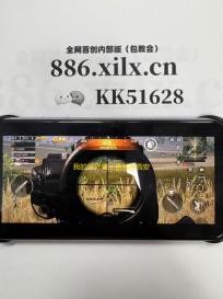 我的世界魔王直装杀戮安卓版免费多功能BT辅助